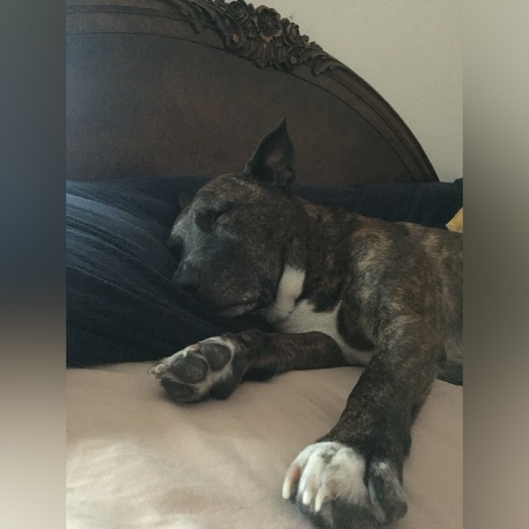 End of duty 6/12/24 - Picture 15 of 15